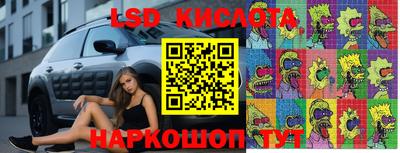 скорость Кандалакша